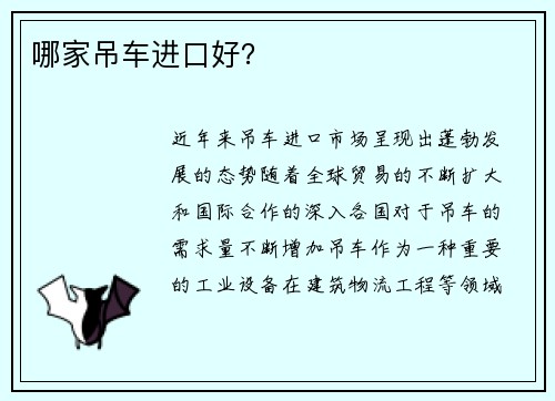 哪家吊车进口好？