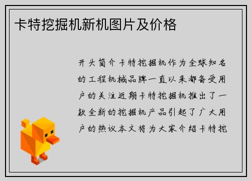 卡特挖掘机新机图片及价格